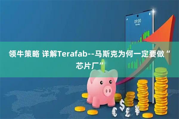 领牛策略 详解Terafab--马斯克为何一定要做“芯片厂”