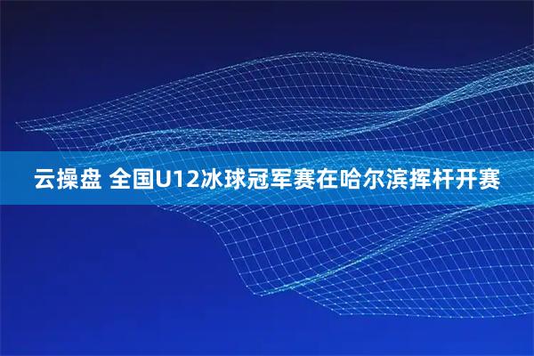 云操盘 全国U12冰球冠军赛在哈尔滨挥杆开赛