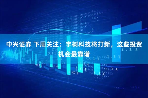 中兴证券 下周关注：宇树科技将打新，这些投资机会最靠谱
